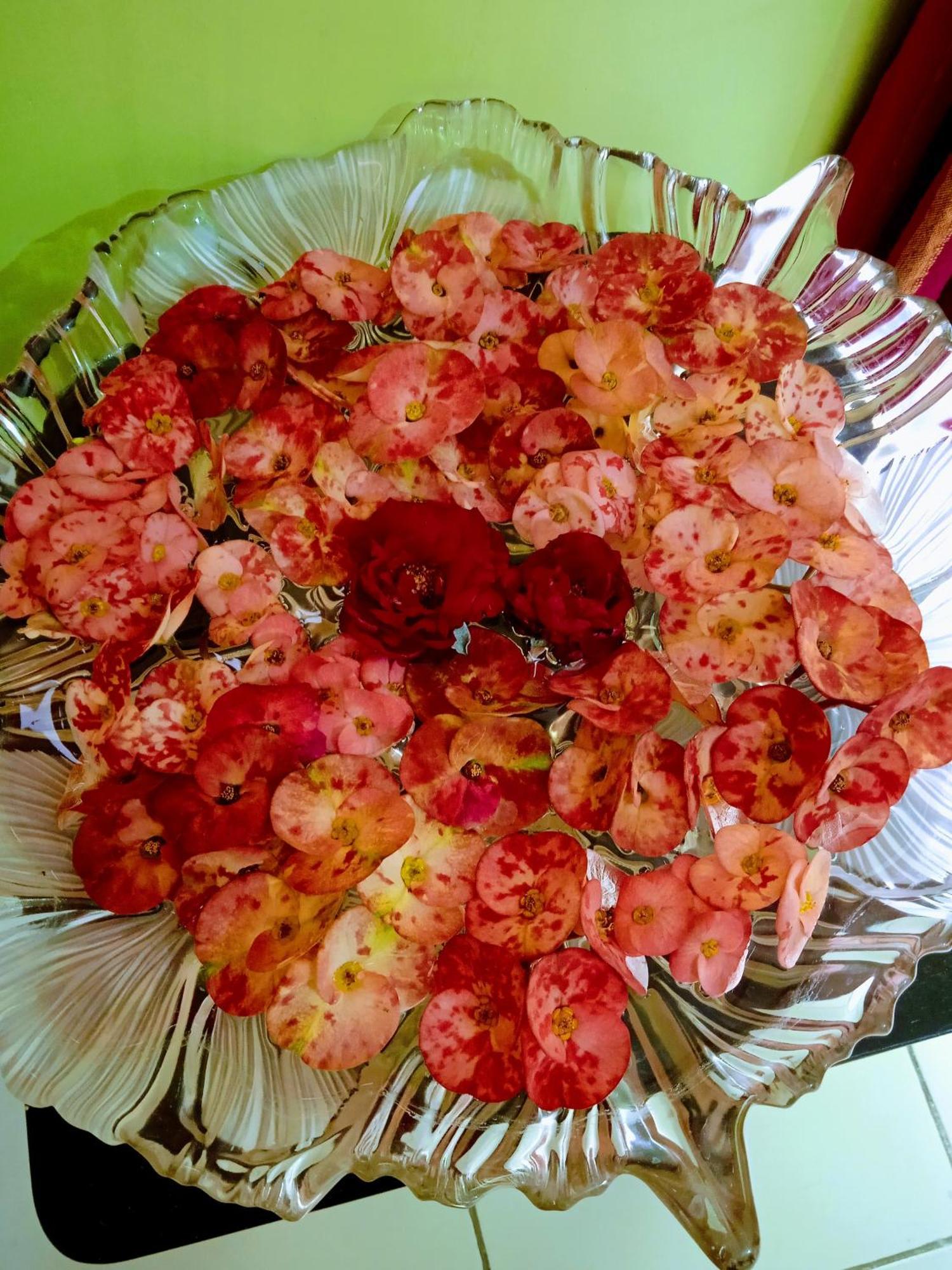Bhoboghure Homestay Santiniketan 볼푸르 외부 사진