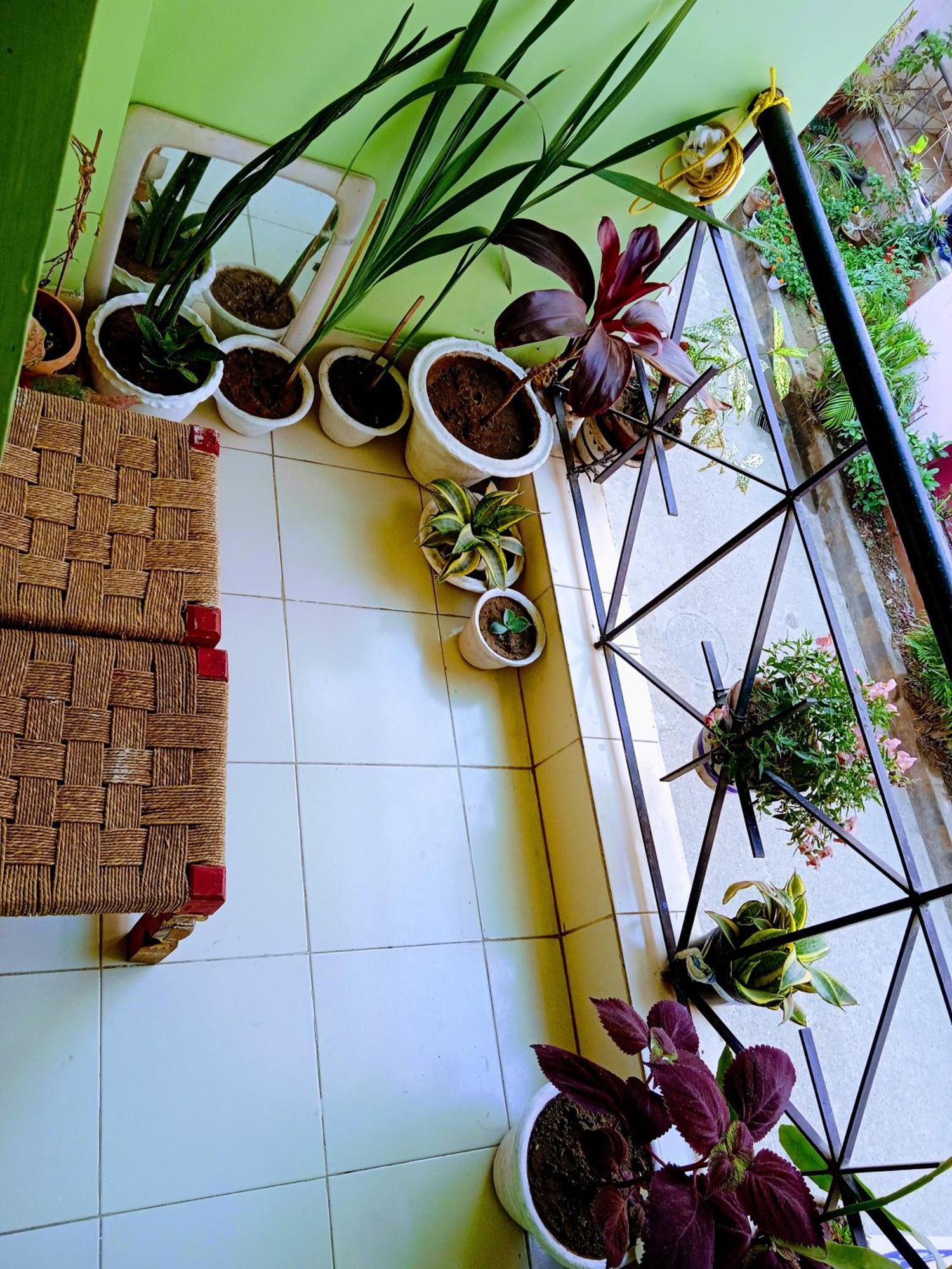 Bhoboghure Homestay Santiniketan 볼푸르 외부 사진