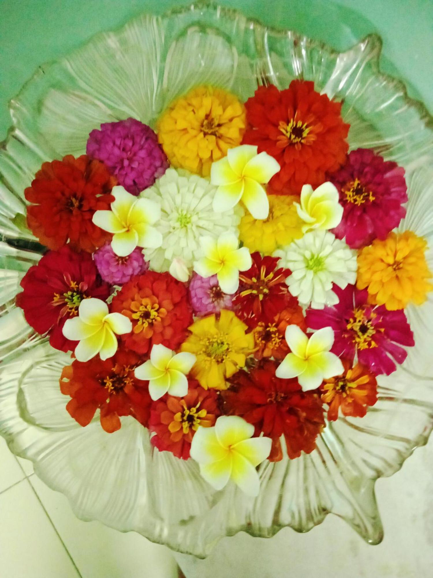 Bhoboghure Homestay Santiniketan 볼푸르 외부 사진